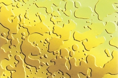 12-DESENLİ-ALTIN-AYNA-PASLANMAZ-ÇELİK-YH-GE08