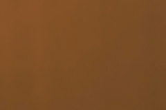 19-GÜL-ALTIN-AYNA-PASLANMAZ-ÇELİK-M-RG