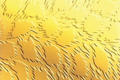 22-DESENLİ-ALTIN-AYNA-PASLANMAZ-ÇELİK-ZK--G014