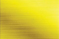 38-SATİNE-ALTIN-PASLANMAZ-ÇELİK-H-GD